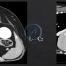 부신메디칼 이미지