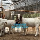 제이목장 이미지