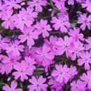 김천제일병원 이미지