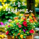 고향의봄