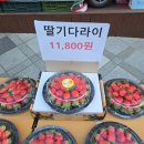 참 행복한 집 | 세종 한우 행복한 정육점에서 맛있는 딸기와 목살 구매후기