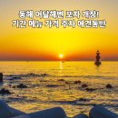 고성수예 | 동해 어달해변 포차 개장! 기간 및 메뉴 가격 주차 애견동반 총정리!1년에 딱 40일!