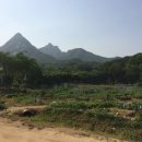 룸비니농장 이미지