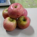 승주농산 이미지