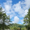 양평소나무펜션 이미지