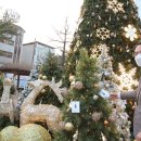 안동의료원 이미지