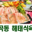 해태껍데기 이미지