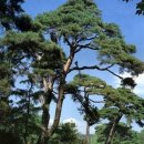 수원-1641 이미지