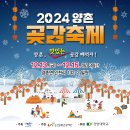 양촌면 햇빛촌바랑산마을 | 2024 양촌곶감축제 달콤한 겨울의 시작을 알리다 🍊