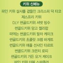 루비케이크 | 대구 애슐리퀸즈 동아쇼핑점 루비레드 키위 신메뉴! 일주일 한정 런치 솔직후기