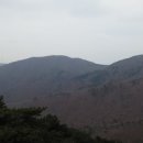 용천카클리닉 네이버블로그