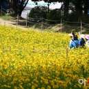 중부대로10 이미지