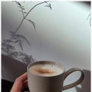 삭주로145번길2 | 부평구청역카페 청리단길 온도쉼, 향으로 고르는 차와 정성 가득한 다과 힐링 후기