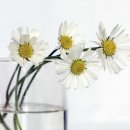 주안여인숙 이미지