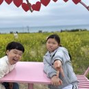 2025년 슬도 유채꽃 주말 나들이 후기(대왕암 해안길)