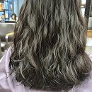 상봉초교 | 묭실 유목민 탈출! 인생 머리 찾은 토리헤어 후기 갑니다