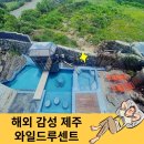 스테이루센트