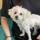 개린이 집합소 | &#39;4월&#39; 일상, 아니 설기일상(?)