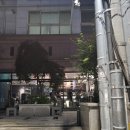 [강남/논현] 미슐랭 원스타 파인다이닝 와인바 빈호VINHO 디너 코스 후기