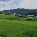 The친절한공인중개사사무소 이미지