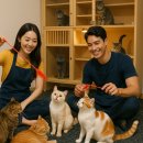 동물보육원 용인지부 이미지