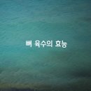 ﻿뼈 육수의 효능 - 면역력 높이고 숙면에 좋아요 이미지