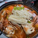 충남 보령 동대동 술집 봄날포차 꽃게탕 삼겹살 맛집 인정! 해물 안주 제대로