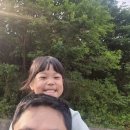 Everlastin 이미지