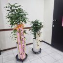 신세대 노래연습장 이미지