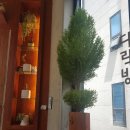 라미한의원 이미지