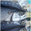 명진건어물 | 군산건어물 30년 전통 있는 곳에서 득템하고 왔어요~