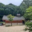 사랑의연리근 | 해남 대흥사, 800년 된 사랑의 나무 &#39;연리근&#39;