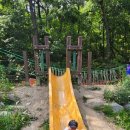 계룡산유아숲체험원 이미지