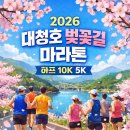 판암역 2번출구 | 2026 대청호 벚꽃길 마라톤 접수 일정, 코스, 참가비 정리! 대전 벚꽃 러닝 기부 대회 참가 방법
