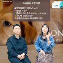 클라우드몰