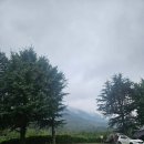 자호천 | 영천 자호천생태학교 캠핑장 아이랑 후기