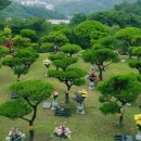 갈월공원 이미지