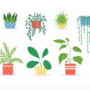 잘생긴치과의원 이미지