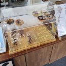 예스예스애견 이미지