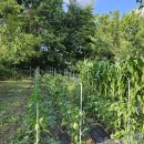 창현농장 이미지