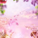 건강안마주식회사 이미지