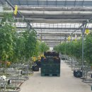 덕일농장 이미지