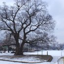 한재초등학교 이미지