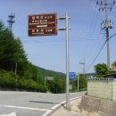 제126회 함백산 야생화축제(1572.9m)6시간 산행기 이미지