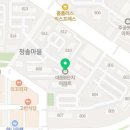 분당-294 Daum카페