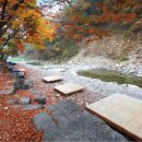 담터펜션 이미지