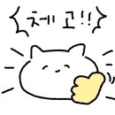 용강스파스포렉스 이미지