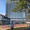 오션골프랜드 | 🌊 [강릉 신상 호텔] 신라 모노그램 강릉, 디럭스 더블 오션뷰 숙박 후기! (예약 바로가기)