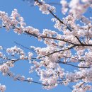 도화역사 이미지