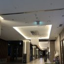 울주군에 위치한 결혼식장: 울산역 앞 더엠 컨벤션 홀 투어 후기 !
